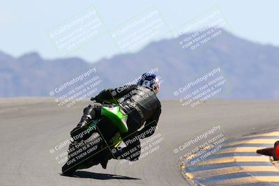 media/May-14-2022-SoCal Trackdays (Sat) [[7b6169074d]]/Turn 12 Backside (1135am)/